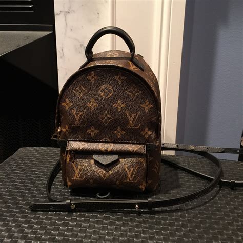 louis vuitton palm spring mini|louis vuitton palm springs backpack.